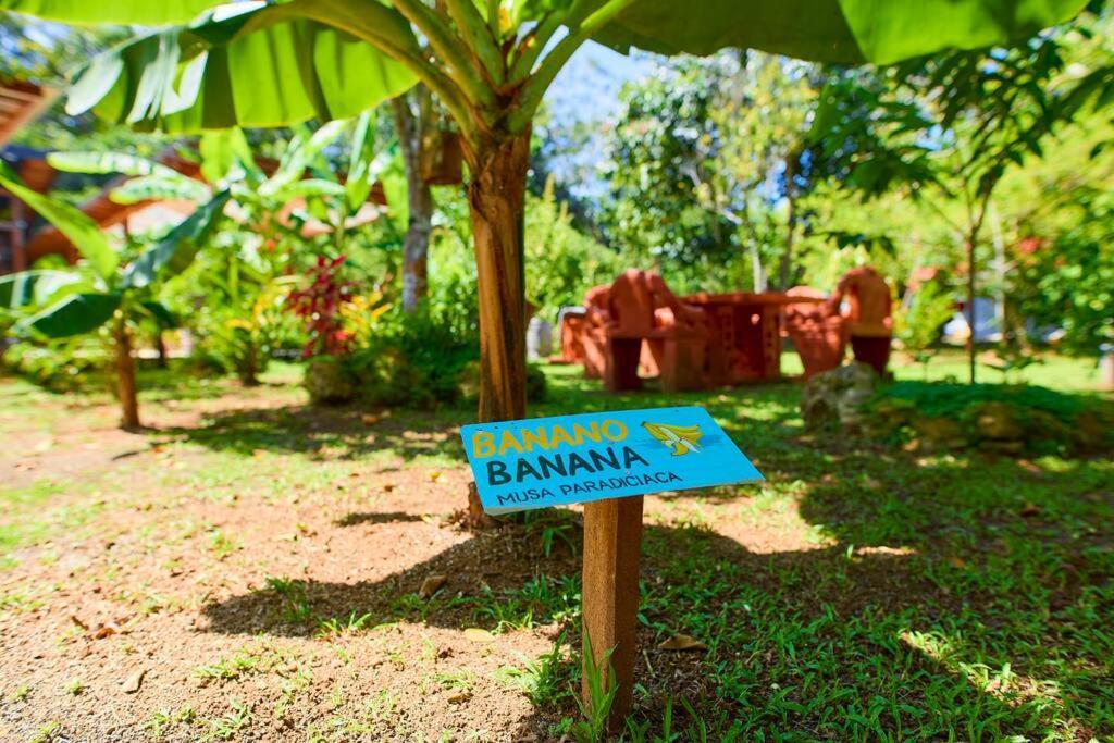Casa Kristel - Exquisite Villa Getaway Puerto Viejo de Talamanca エクステリア 写真