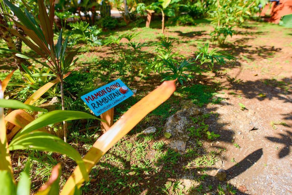 Casa Kristel - Exquisite Villa Getaway Puerto Viejo de Talamanca エクステリア 写真
